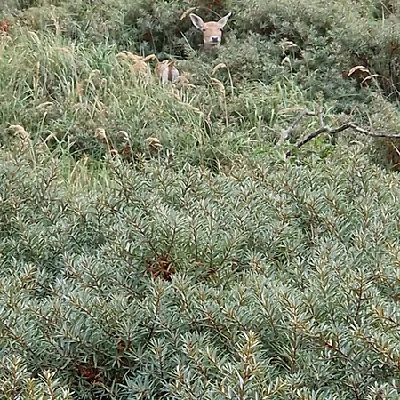 Duin-vliet - Free Parking Maison d'hôtes 4*