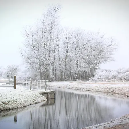 Maison d'hôtes Duin-vliet - Free Parking Bentveld