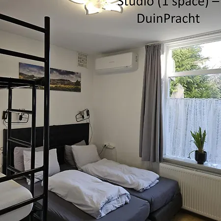 Duinvliet - Zandvoort Dunes & Free Parking Pensjonat 4*