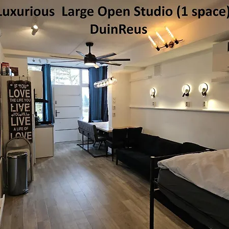 Duinvliet - Zandvoort Dunes & Free Parking 4*