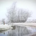 Pensjonat Duinvliet - Free Parking Bentveld