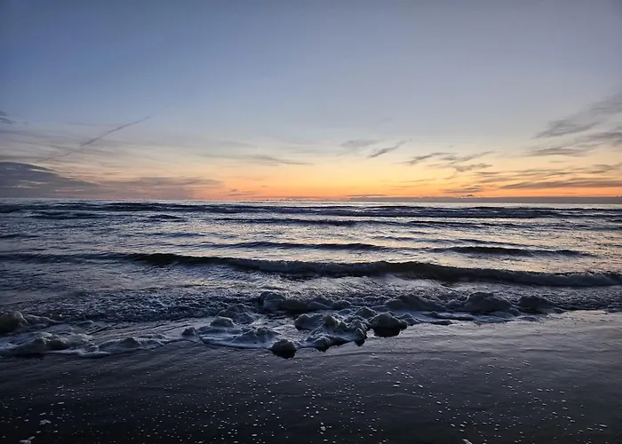 Duin-vliet - Free Parking 4*