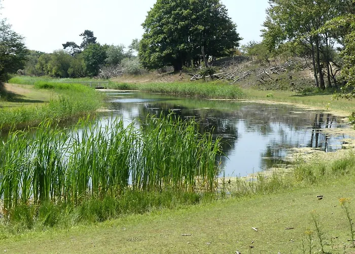 게스트하우스 Duin-vliet - Free Parking Bentveld