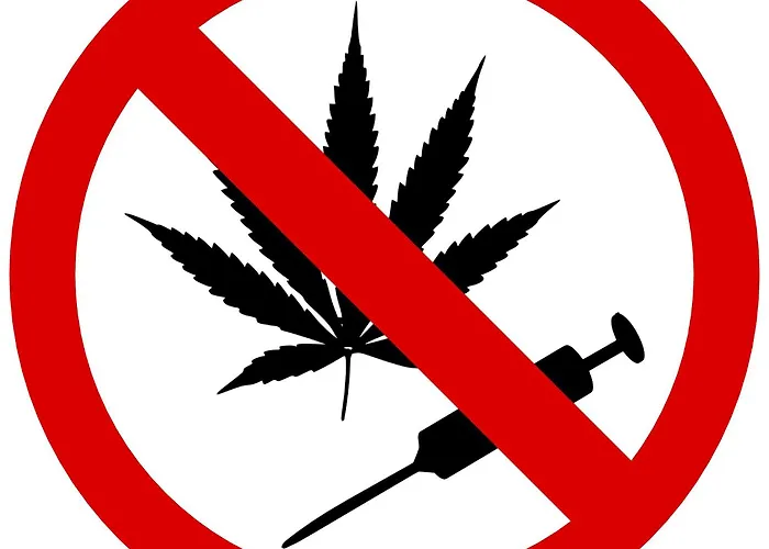 게스트하우스 Duin-vliet - Free Parking 4*